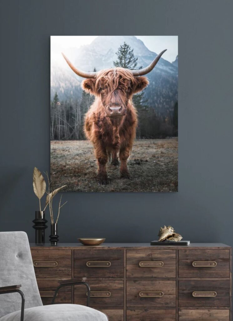 Highland Cow Canvas Wall Art