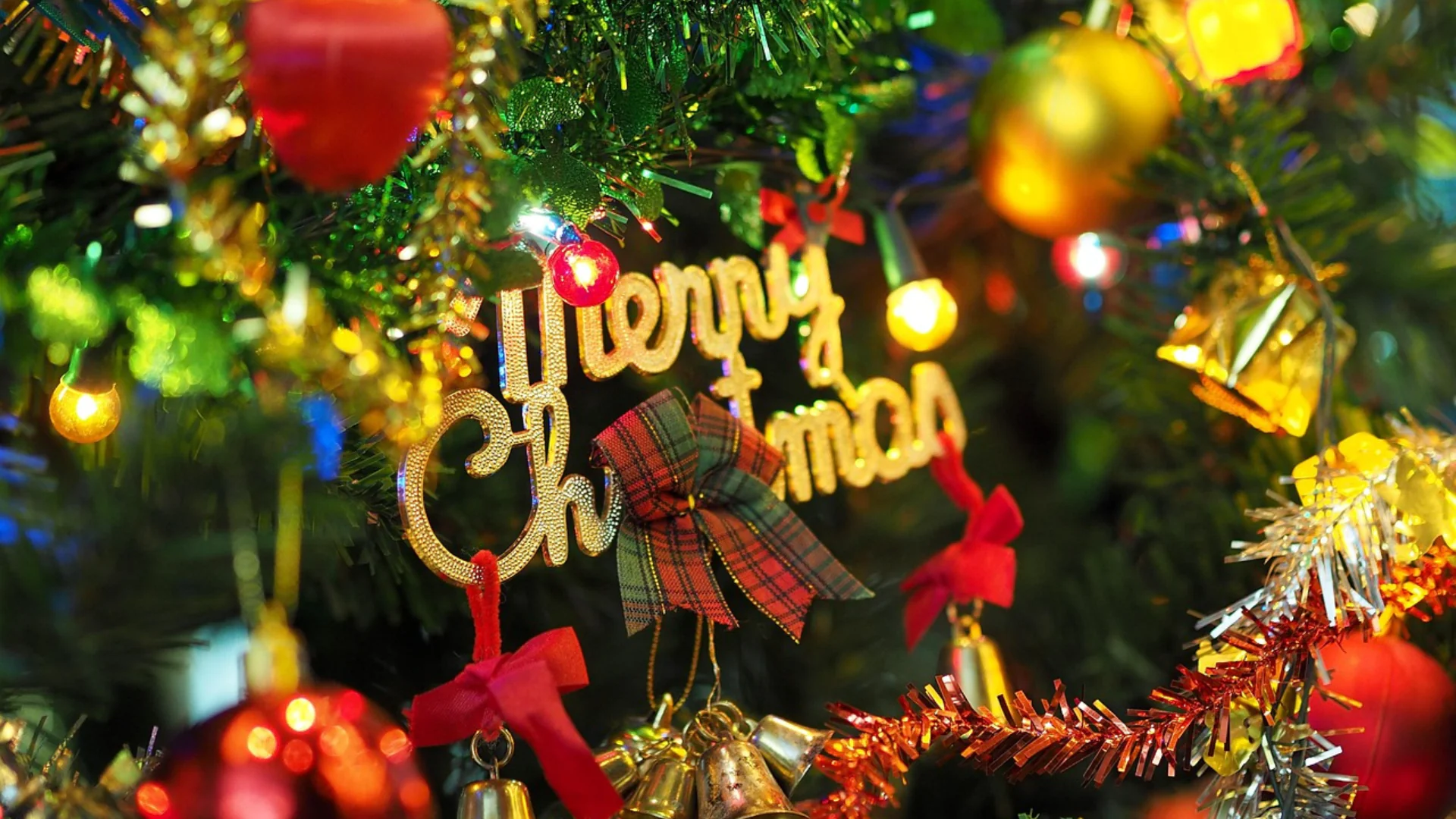 Special Xmas Gifts